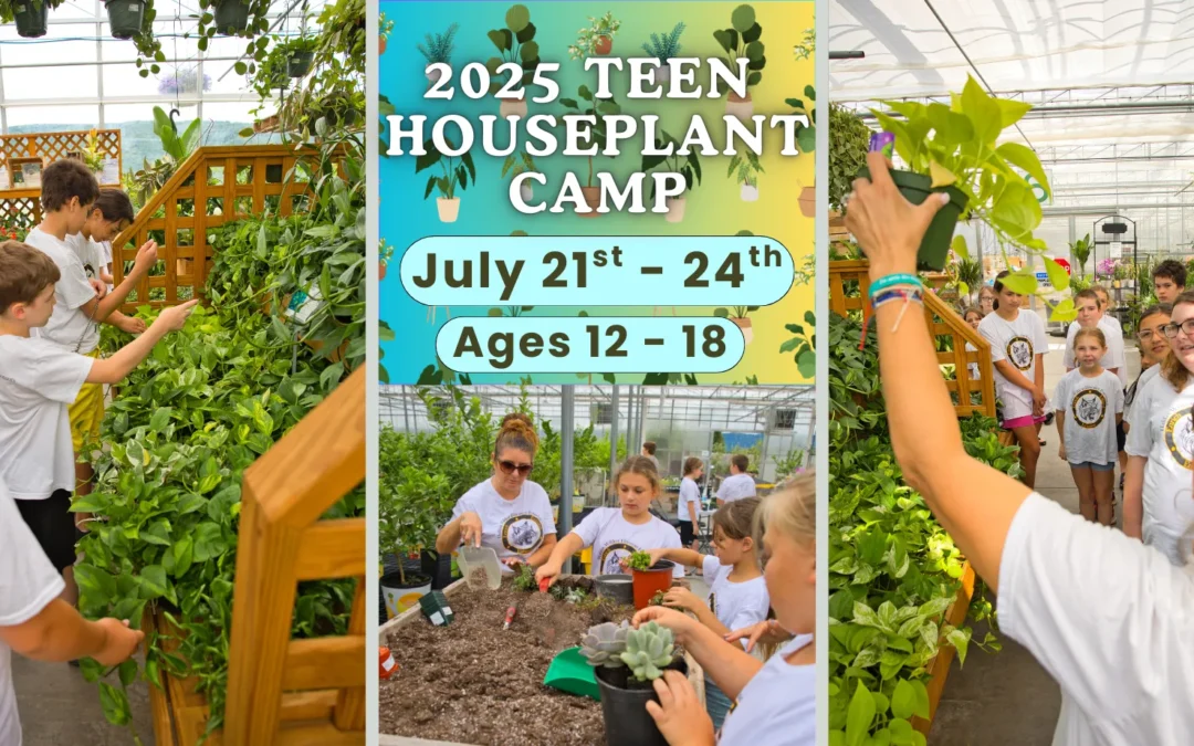 Teen Houseplant Camp @ Smucker Gardens