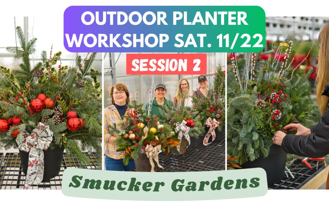 Outdoor Christmas Planter Workshop