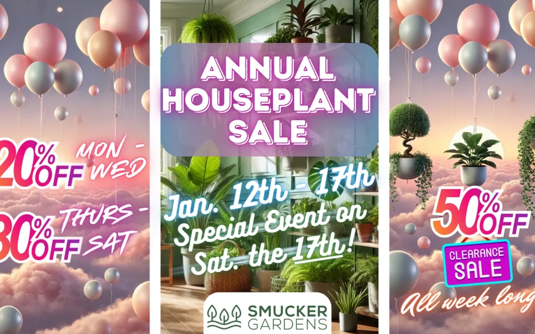 Annual Houseplant Sale