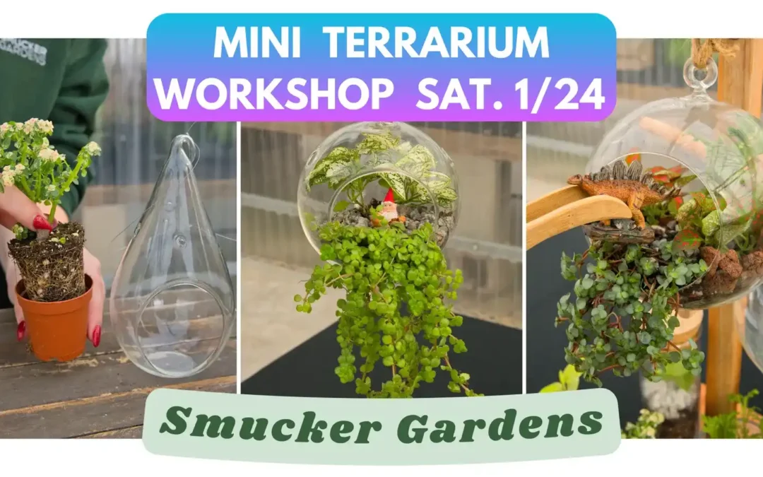 Mini Terrarium Workshop @ Smucker Gardens