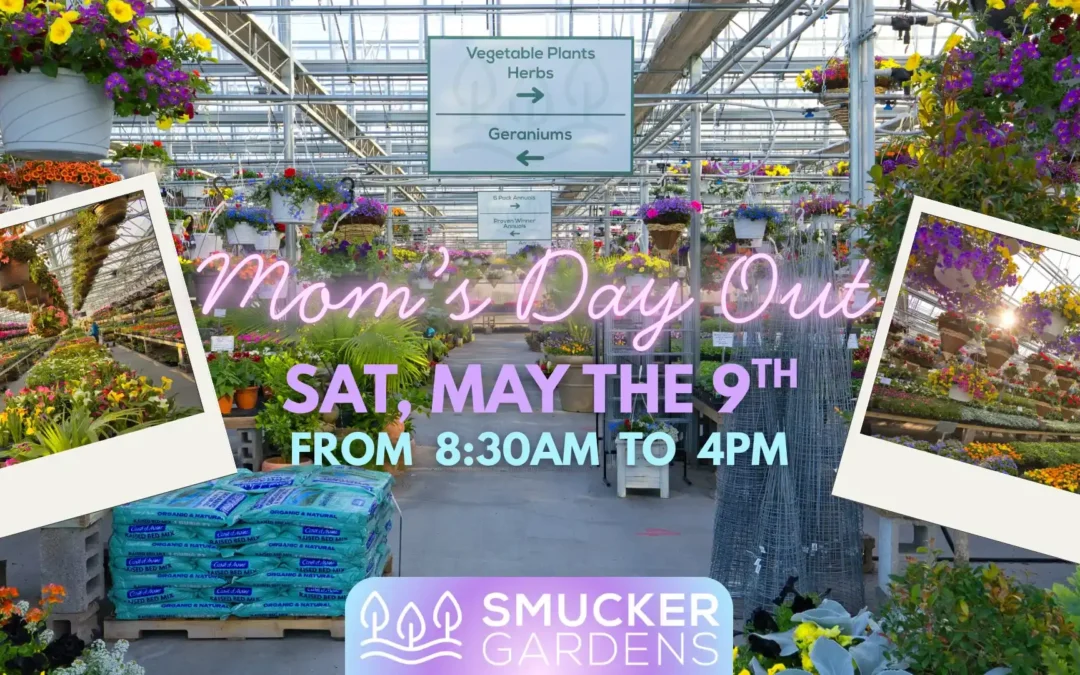 Mom’s Day Out 2026