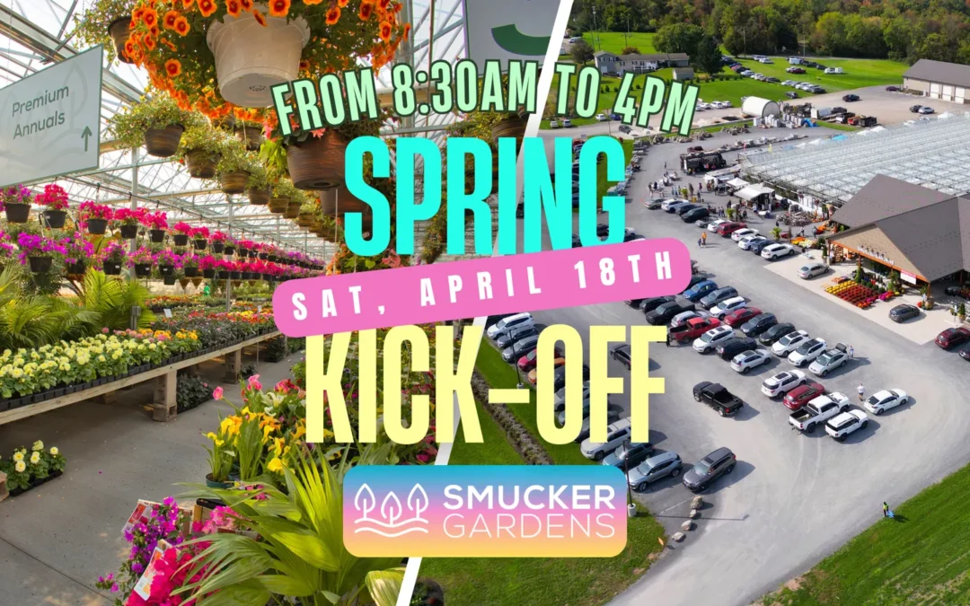 🌸 Spring Kick-Off 2026 🌸