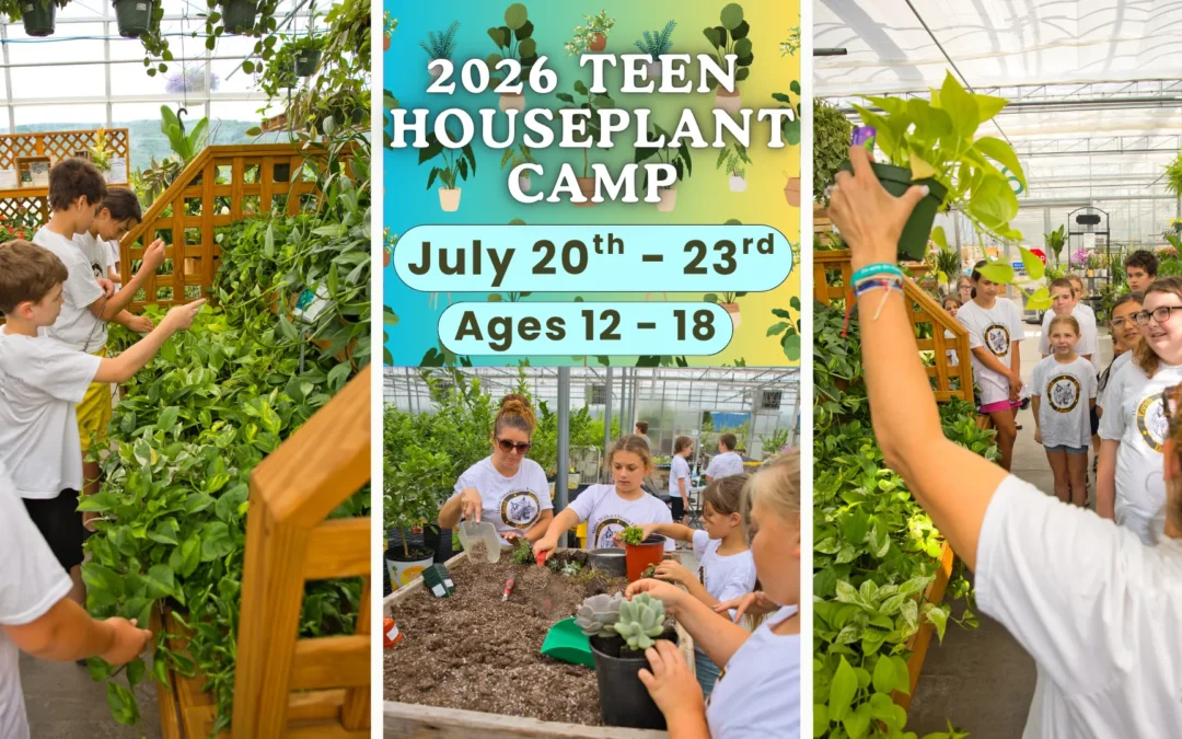 Teen Houseplant Camp @ Smucker Gardens