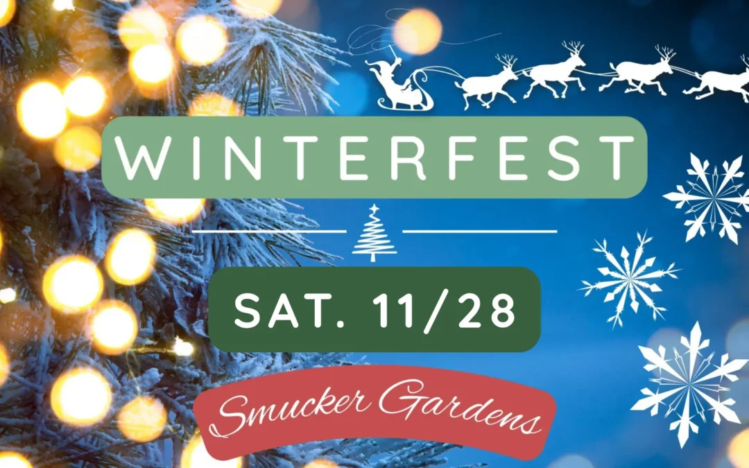 🎄 Winterfest 2026 🎄