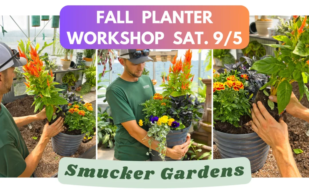 Fall Planter Workshop @ Smucker Gardens