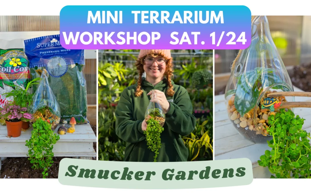 Mini Terrarium Workshop @ Smucker Gardens