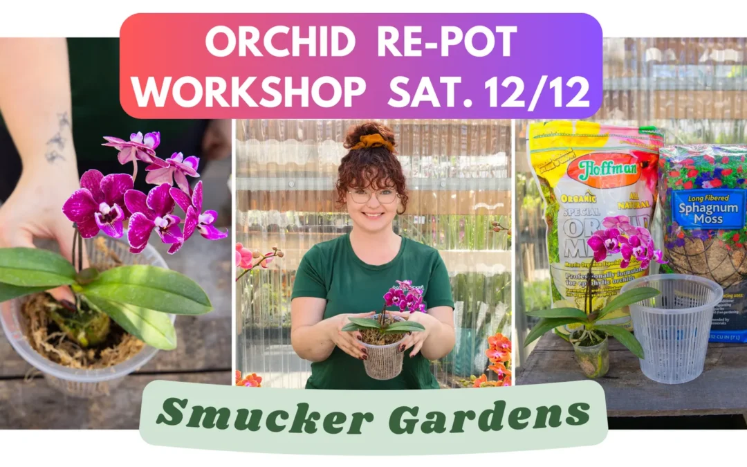 Orchid Re-pot Workshop @ Smucker Gardens