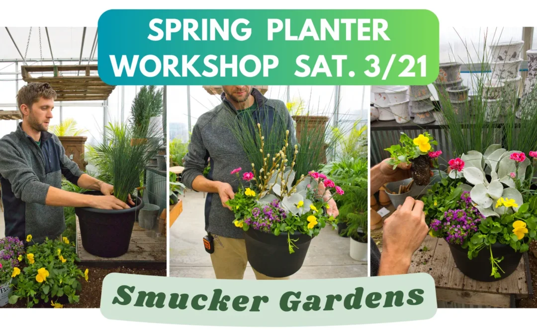 Spring Planter Workshop @ Smucker Gardens