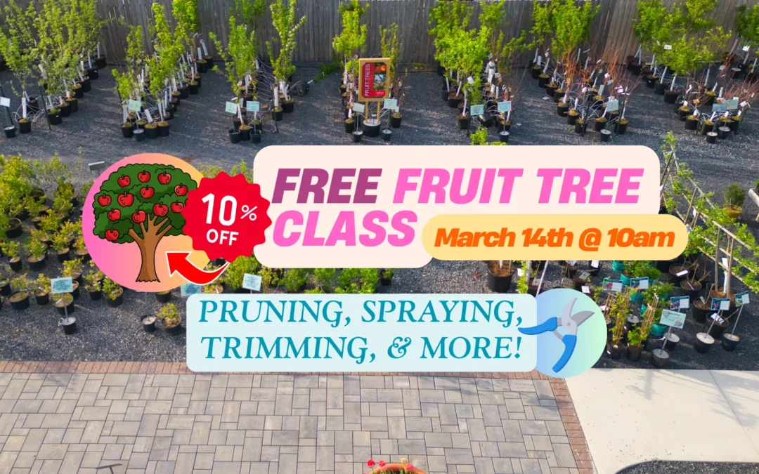 🌳🍑  FREE FRUIT TREE CLASS 🍎🌳