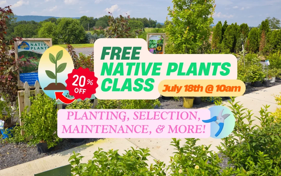 📍🌿  FREE NATIVE PLANT CLASS  🌳📍