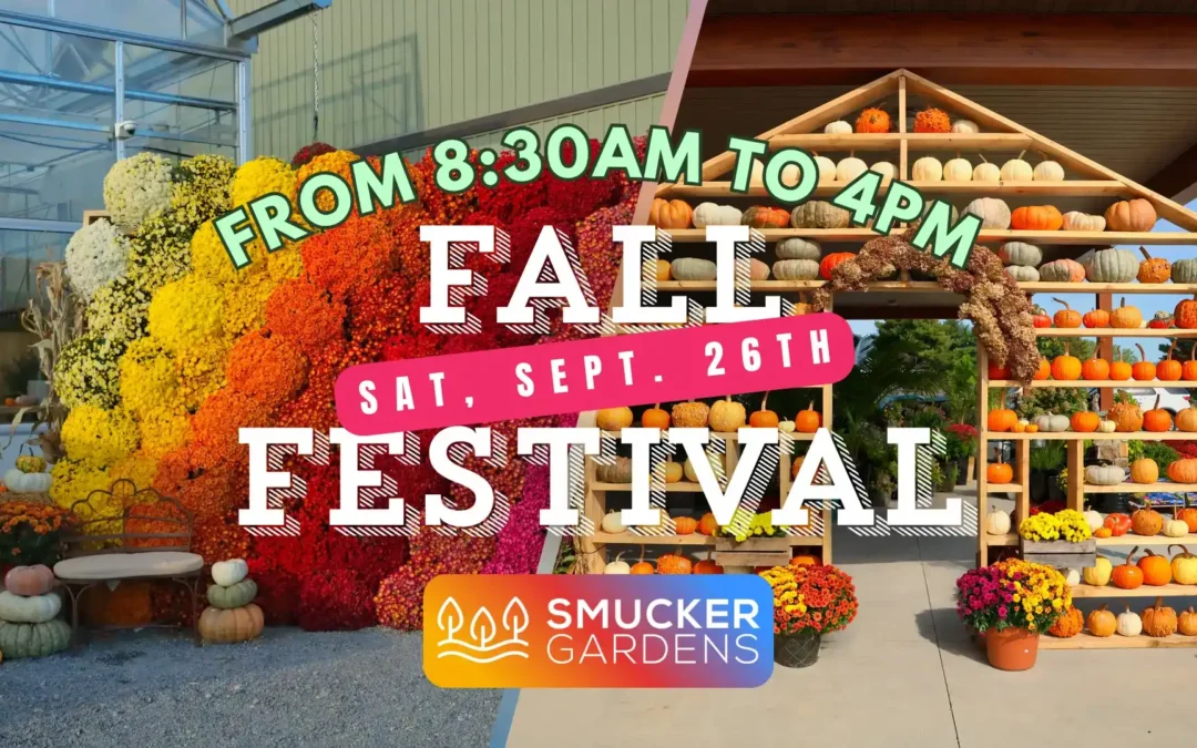🍁🍂 FALL FESTIVAL 2026 🍂🍁